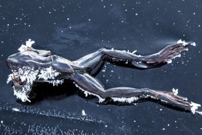 “Hóa đá” trên đường đến với tình yêu